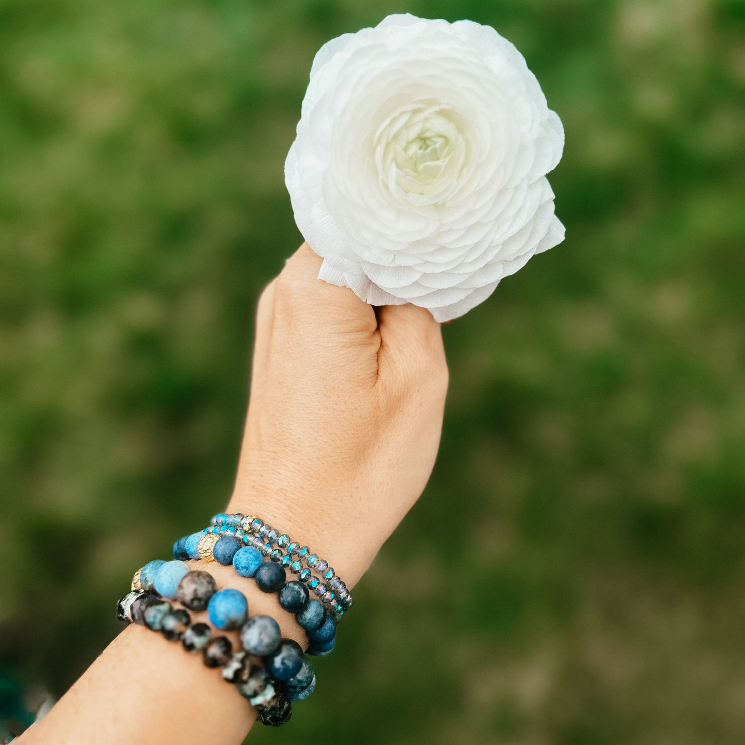 Wander Through Wonderland